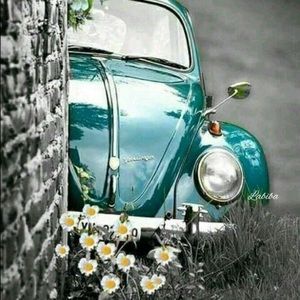 Meet your Posher, Ginger